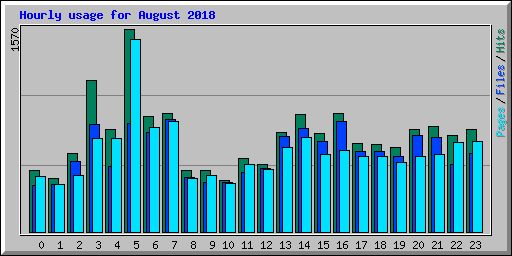 Hourly usage for August 2018